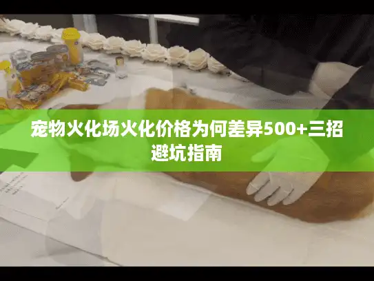 宠物火化场火化价格为何差异500+三招避坑指南