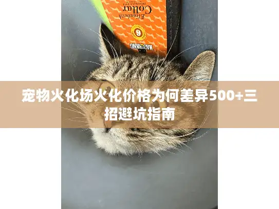 宠物火化场火化价格为何差异500+三招避坑指南