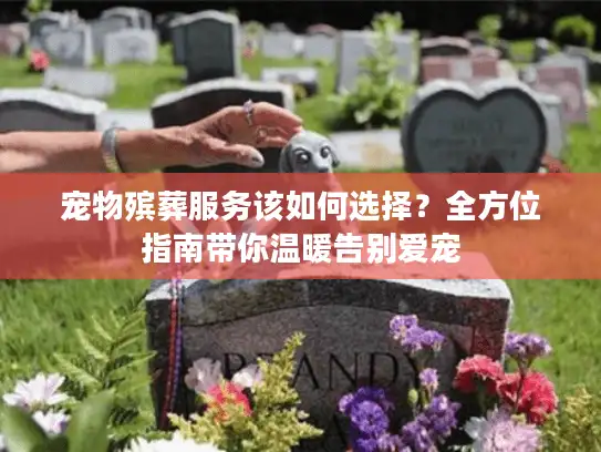 宠物殡葬服务该如何选择？全方位指南带你温暖告别爱宠