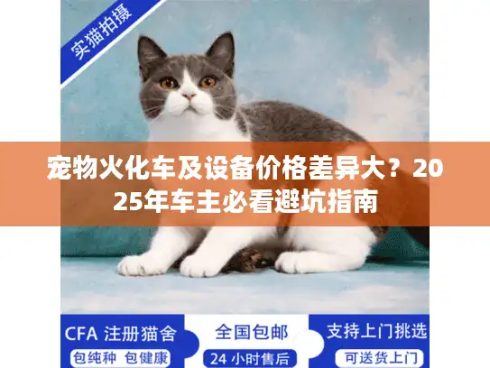 宠物火化车及设备价格差异大？2025年车主必看避坑指南