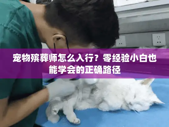 宠物殡葬师怎么入行？零经验小白也能学会的正确路径