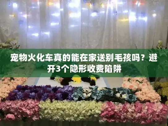 宠物火化车真的能在家送别毛孩吗？避开3个隐形收费陷阱