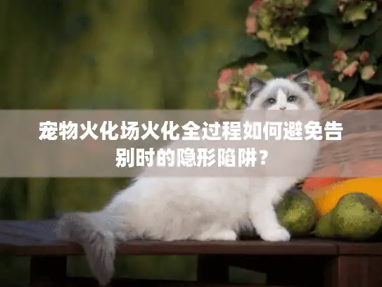 宠物火化场火化全过程如何避免告别时的隐形陷阱？