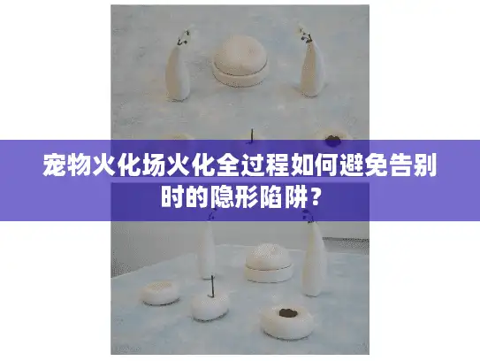 宠物火化场火化全过程如何避免告别时的隐形陷阱？
