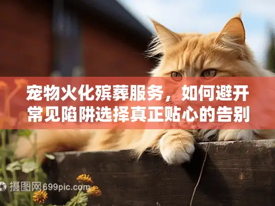 宠物火化殡葬服务，如何避开常见陷阱选择真正贴心的告别？