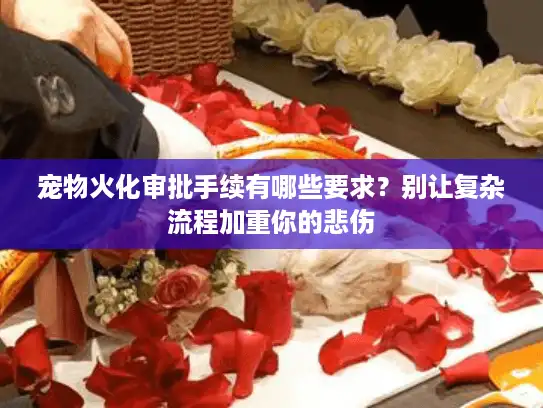 宠物火化审批手续有哪些要求？别让复杂流程加重你的悲伤