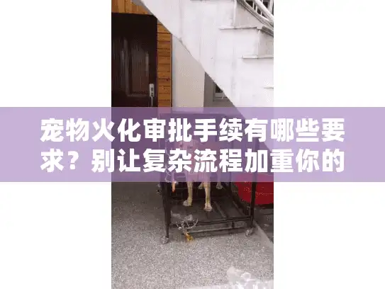 宠物火化审批手续有哪些要求？别让复杂流程加重你的悲伤