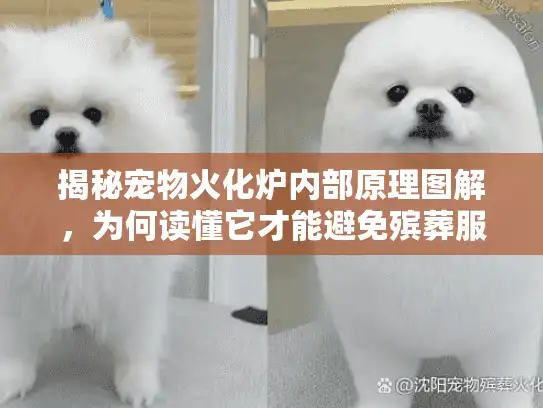 揭秘宠物火化炉内部原理图解，为何读懂它才能避免殡葬服务陷阱？