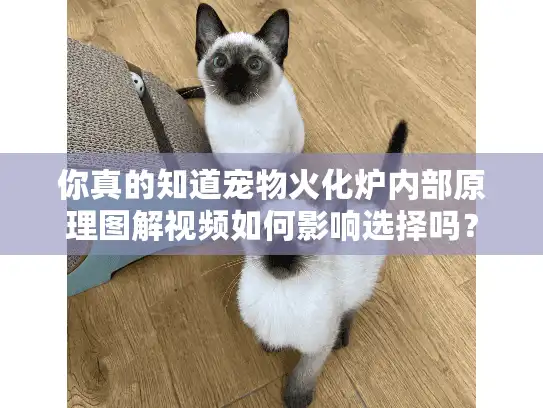 你真的知道宠物火化炉内部原理图解视频如何影响选择吗？