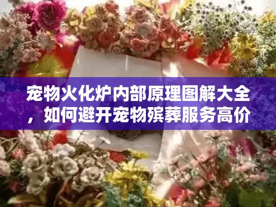 宠物火化炉内部原理图解大全，如何避开宠物殡葬服务高价陷阱？