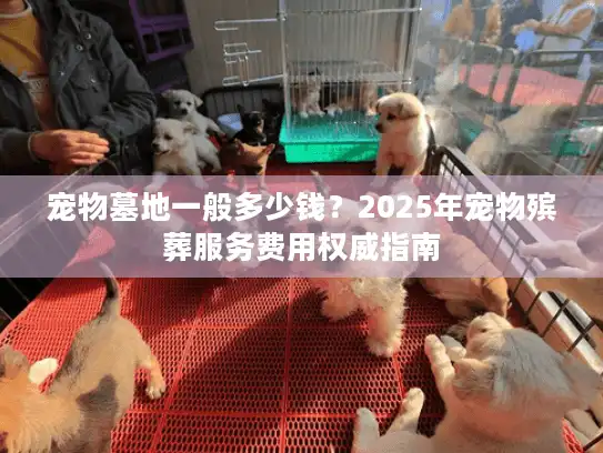 宠物墓地一般多少钱？2025年宠物殡葬服务费用权威指南