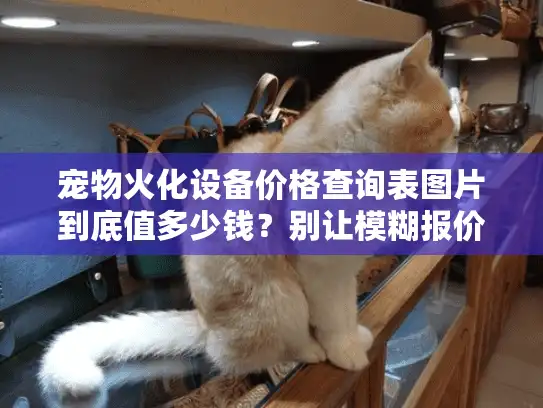 宠物火化设备价格查询表图片到底值多少钱？别让模糊报价伤透你的心