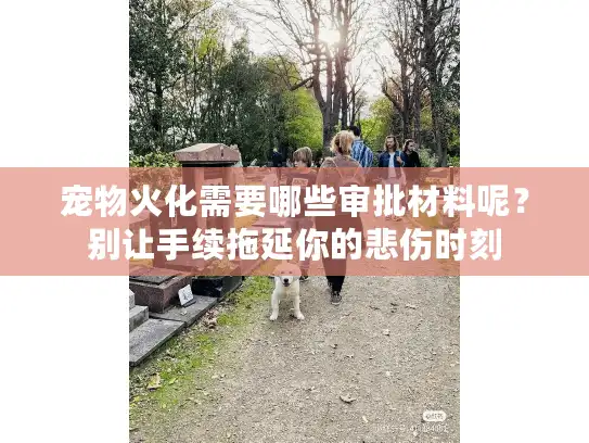 宠物火化需要哪些审批材料呢？别让手续拖延你的悲伤时刻
