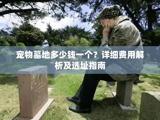 宠物墓地多少钱一个？详细费用解析及选址指南