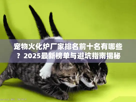 宠物火化炉厂家排名前十名有哪些？2025最新榜单与避坑指南揭秘