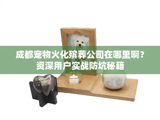 成都宠物火化殡葬公司在哪里啊？资深用户实战防坑秘籍