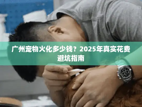 广州宠物火化多少钱？2025年真实花费避坑指南