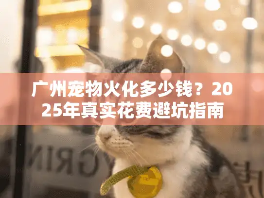 广州宠物火化多少钱？2025年真实花费避坑指南