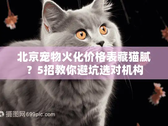 北京宠物火化价格表藏猫腻？5招教你避坑选对机构