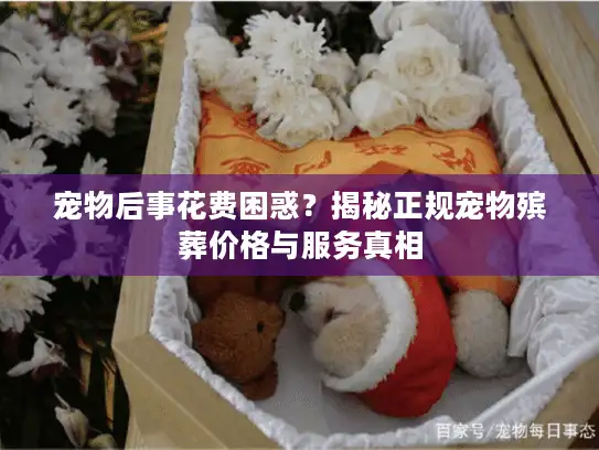宠物后事花费困惑？揭秘正规宠物殡葬价格与服务真相