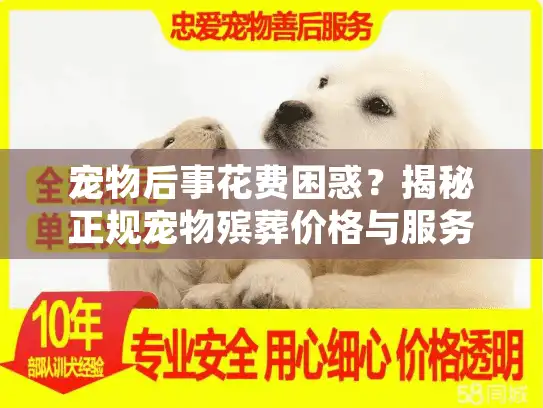 宠物后事花费困惑？揭秘正规宠物殡葬价格与服务真相