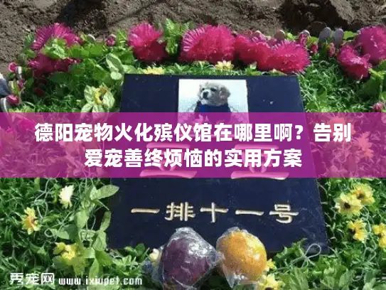 德阳宠物火化殡仪馆在哪里啊？告别爱宠善终烦恼的实用方案