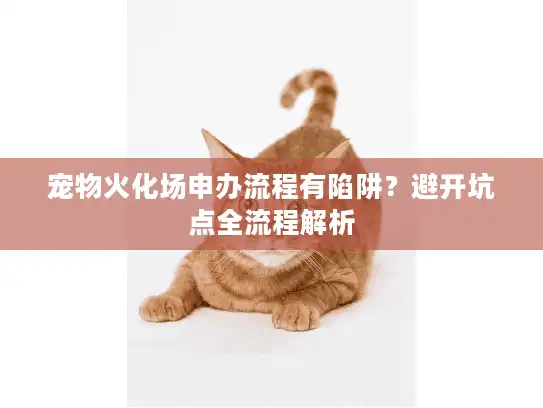 宠物火化场申办流程有陷阱？避开坑点全流程解析