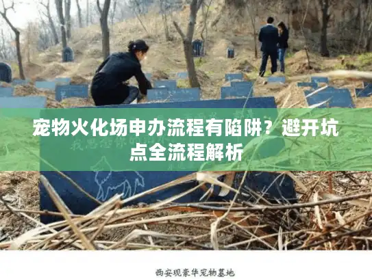 宠物火化场申办流程有陷阱？避开坑点全流程解析