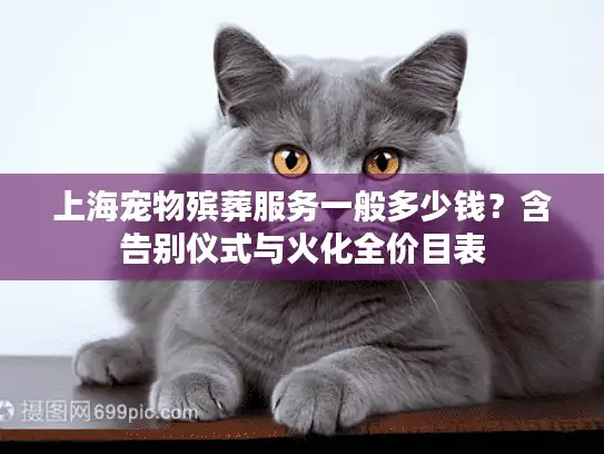上海宠物殡葬服务一般多少钱？含告别仪式与火化全价目表
