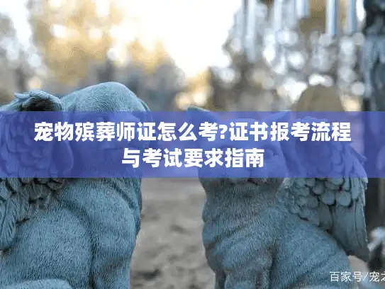宠物殡葬师证怎么考?证书报考流程与考试要求指南