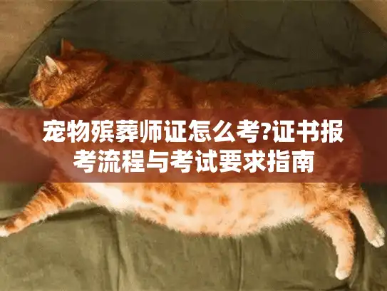 宠物殡葬师证怎么考?证书报考流程与考试要求指南