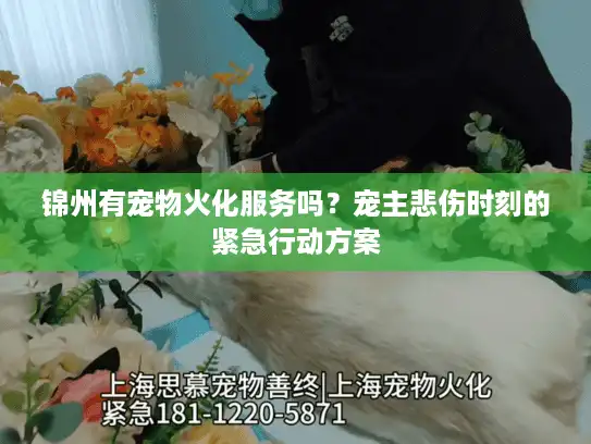 锦州有宠物火化服务吗？宠主悲伤时刻的紧急行动方案