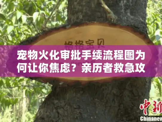 宠物火化审批手续流程图为何让你焦虑？亲历者救急攻略揭密！