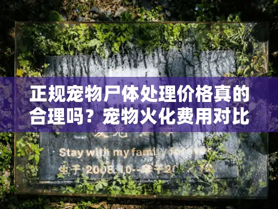 正规宠物尸体处理价格真的合理吗？宠物火化费用对比解析