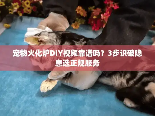 宠物火化炉DIY视频靠谱吗？3步识破隐患选正规服务