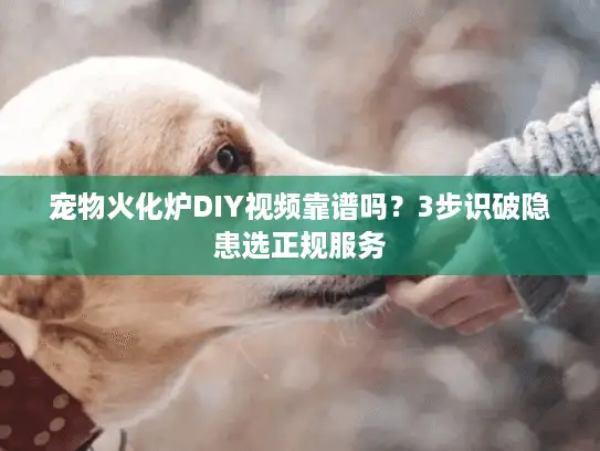 宠物火化炉DIY视频靠谱吗？3步识破隐患选正规服务