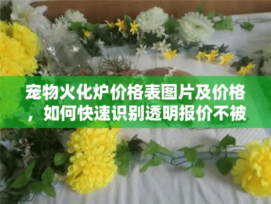 宠物火化炉价格表图片及价格，如何快速识别透明报价不被坑？