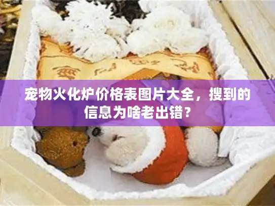 宠物火化炉价格表图片大全，搜到的信息为啥老出错？