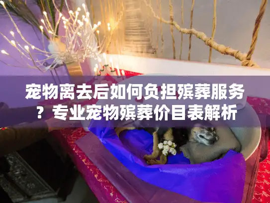 宠物离去后如何负担殡葬服务？专业宠物殡葬价目表解析