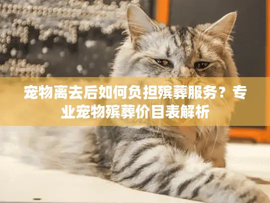 宠物离去后如何负担殡葬服务？专业宠物殡葬价目表解析