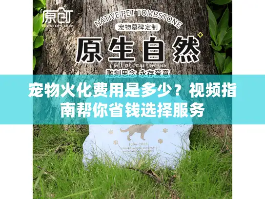 宠物火化费用是多少？视频指南帮你省钱选择服务