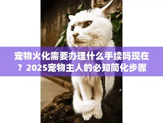 宠物火化需要办理什么手续吗现在？2025宠物主人的必知简化步骤