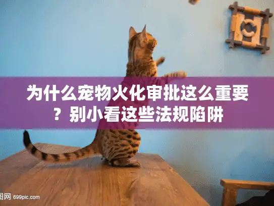 为什么宠物火化审批这么重要？别小看这些法规陷阱