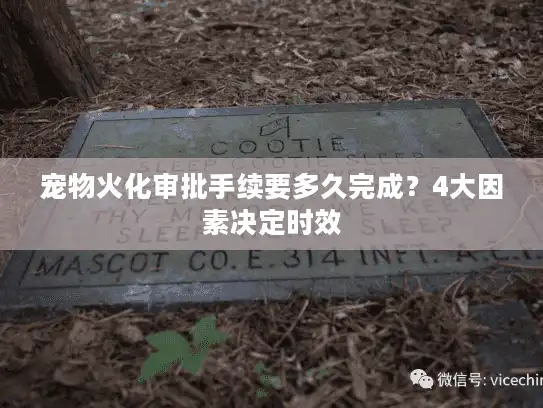 宠物火化审批手续要多久完成？4大因素决定时效
