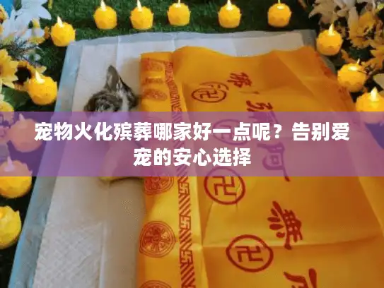 宠物火化殡葬哪家好一点呢？告别爱宠的安心选择
