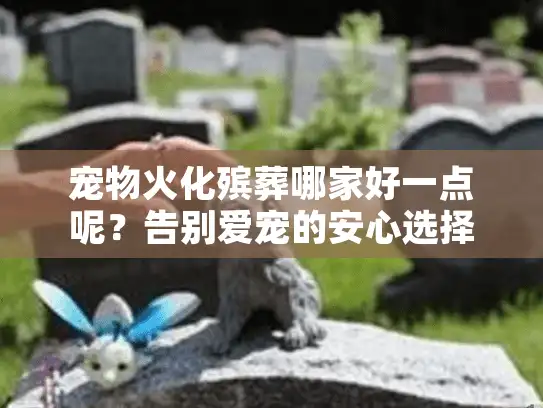 宠物火化殡葬哪家好一点呢？告别爱宠的安心选择