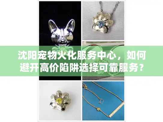 沈阳宠物火化服务中心，如何避开高价陷阱选择可靠服务？