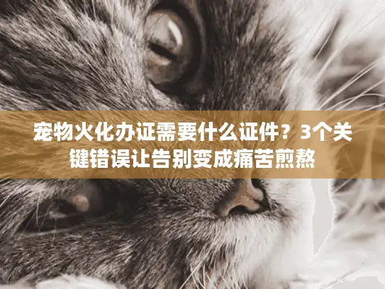 宠物火化办证需要什么证件？3个关键错误让告别变成痛苦煎熬