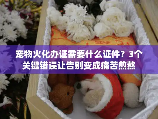 宠物火化办证需要什么证件？3个关键错误让告别变成痛苦煎熬