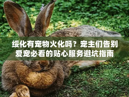 绥化有宠物火化吗？宠主们告别爱宠必看的贴心服务避坑指南
